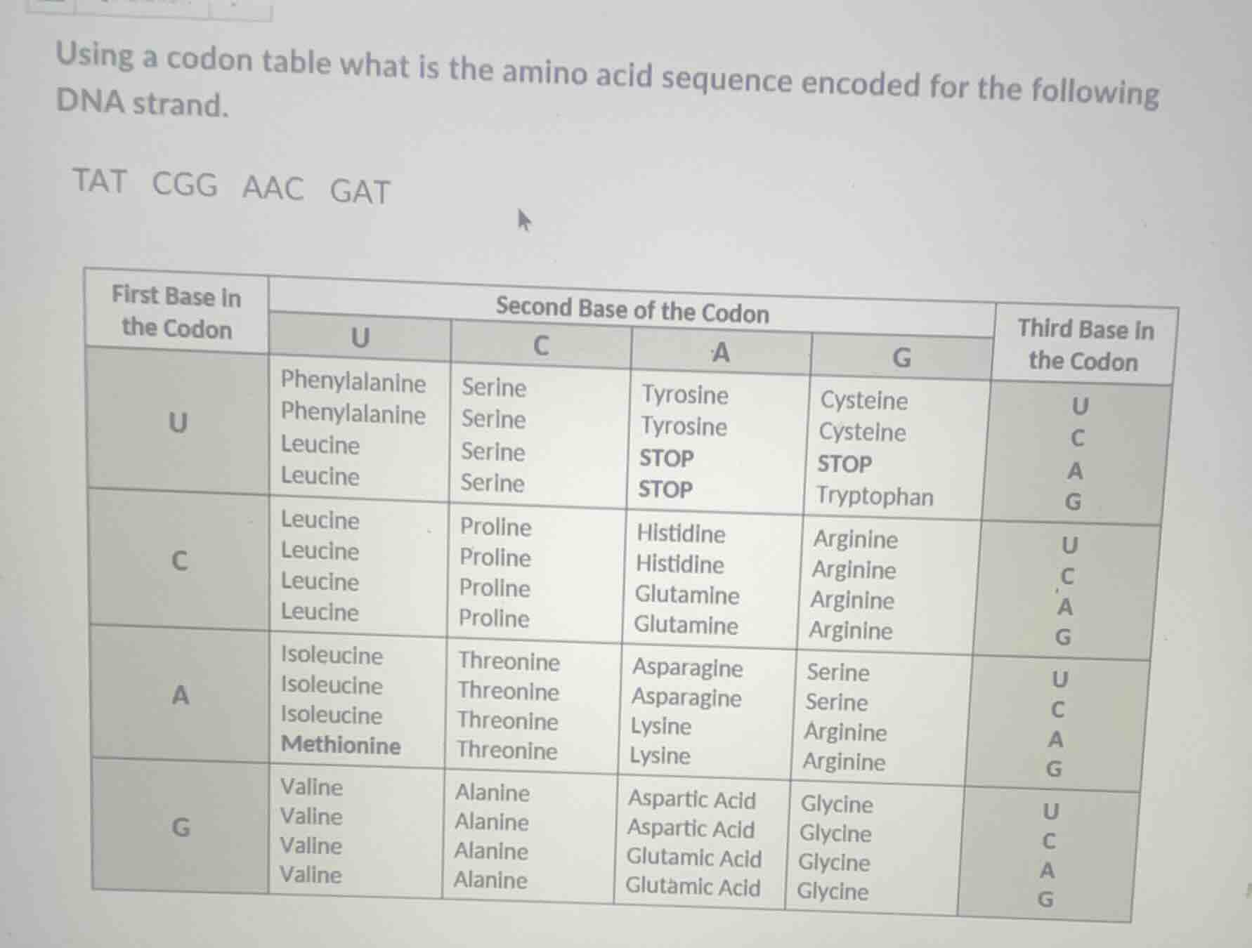 using a codon table what is the amino acid sequence encoded for the fol…