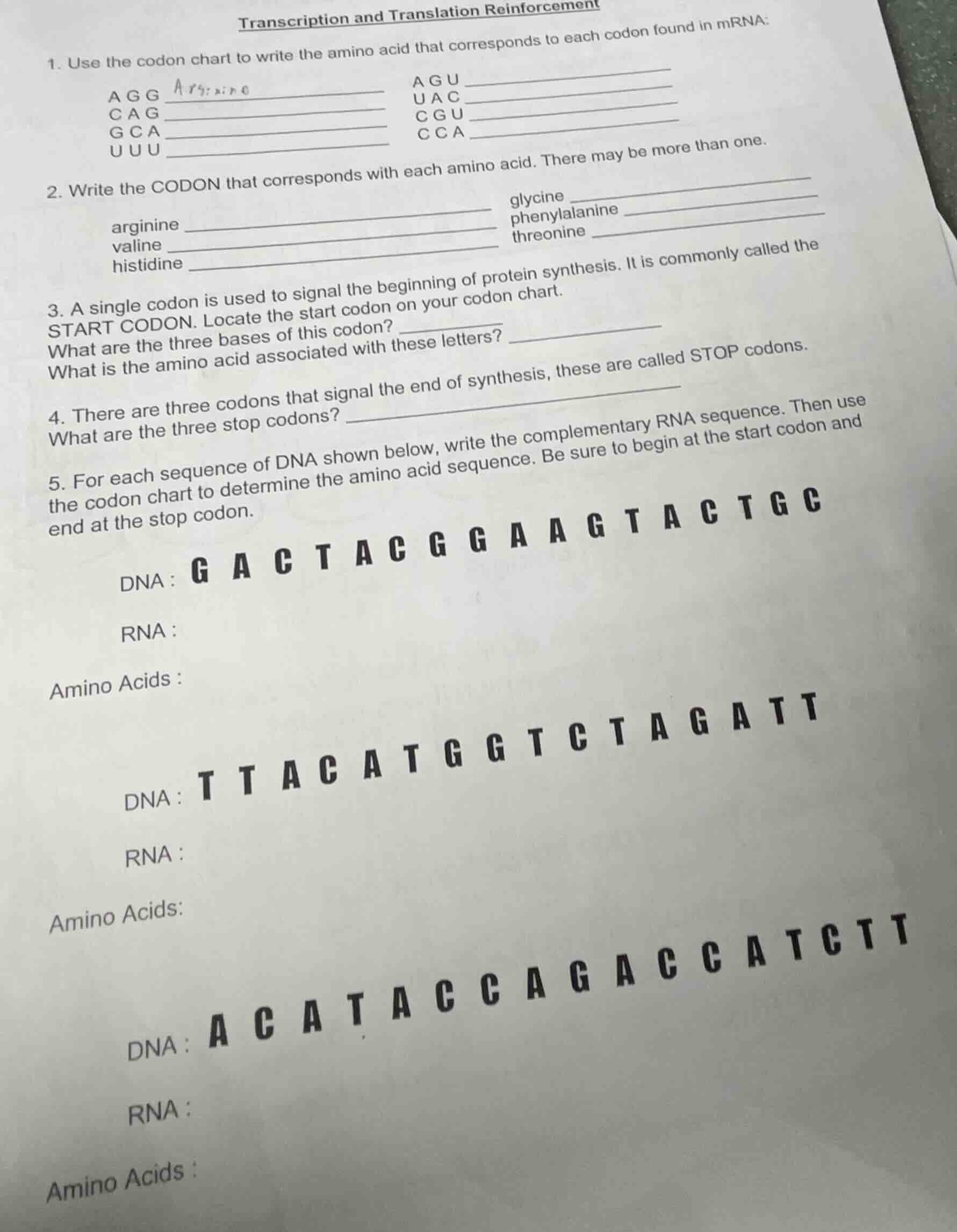 transcription and translation reinforcement 1. use the codon chart to w…