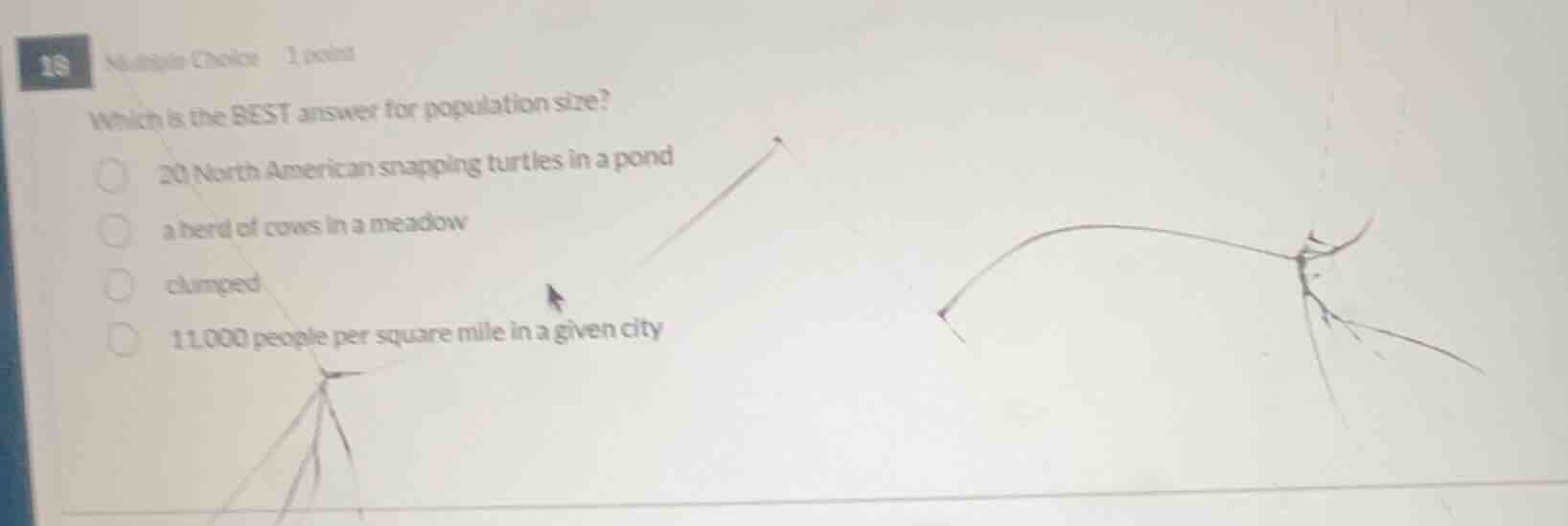 10 multiple choice 1 point which is the best answer for population size…