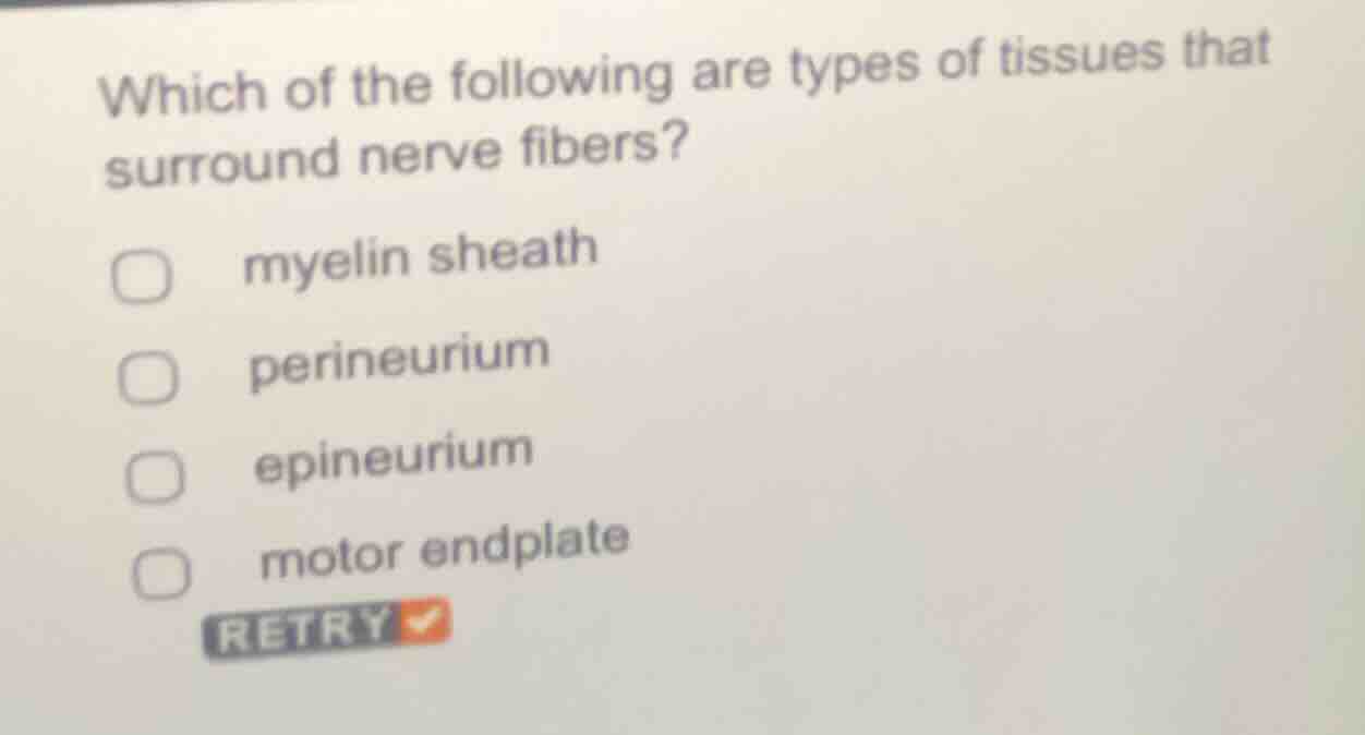 which of the following are types of tissues that surround nerve fibers?…