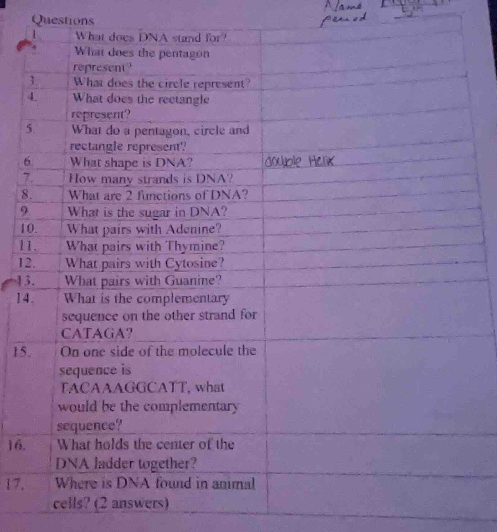questions 1. what does dna stand for? 2. what does the pentagon represe…