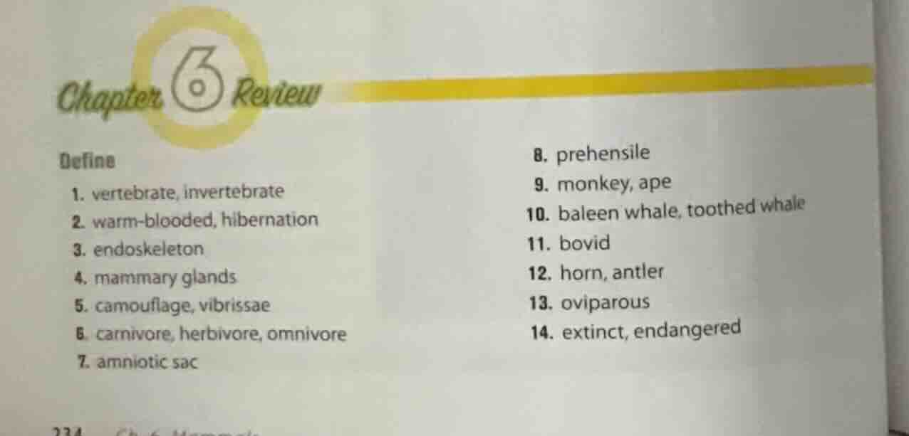 chapter 6 review define 1. vertebrate, invertebrate 2. warm - blooded, …