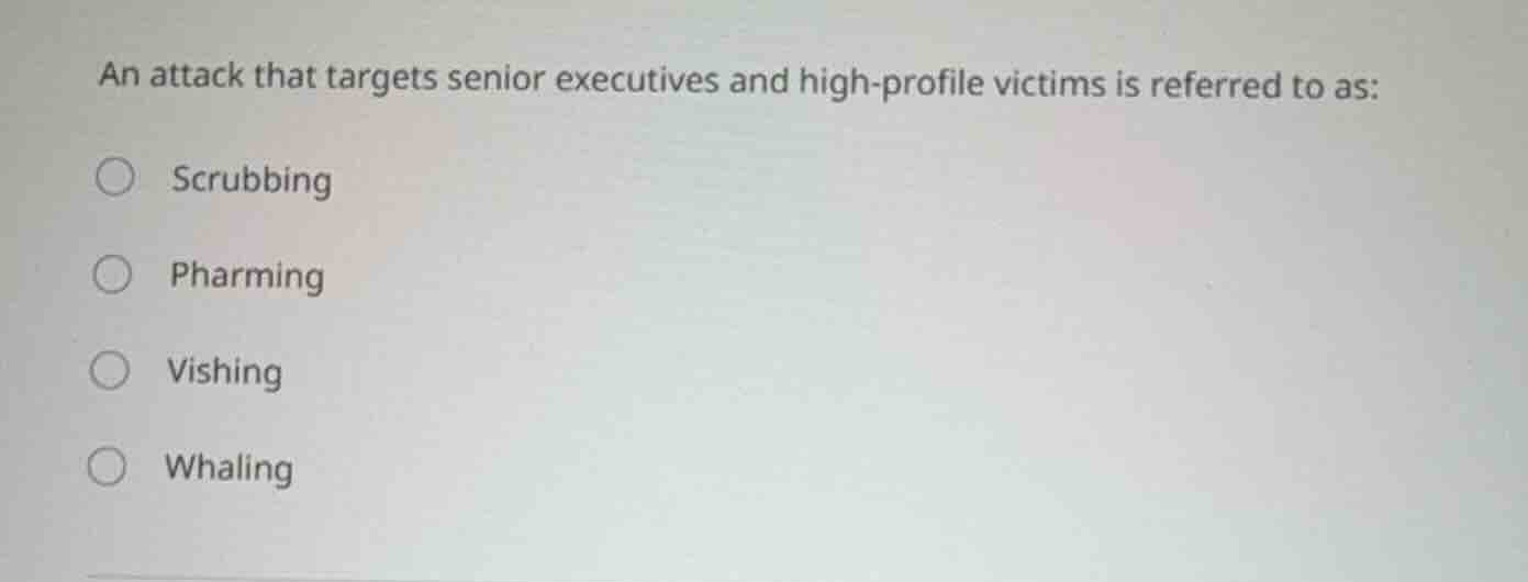 an attack that targets senior executives and high - profile victims is …