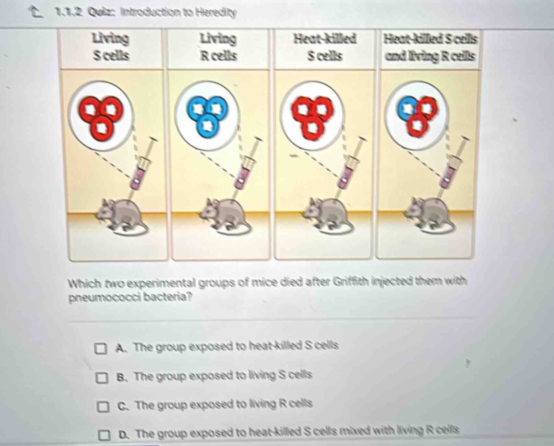 1.1.2 quiz: introduction to heredity living s cells living r cells heat…