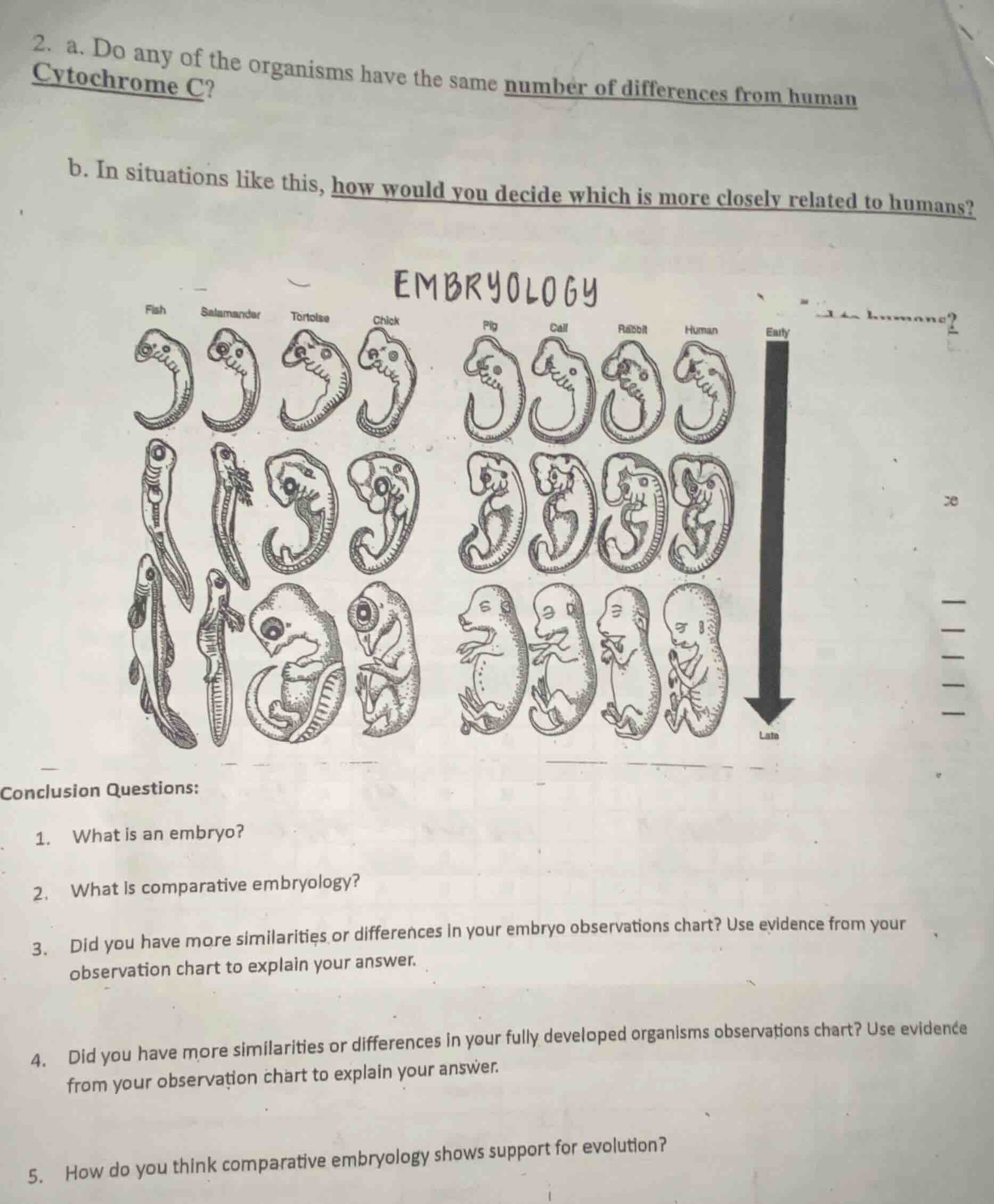 2. a. do any of the organisms have the same number of differences from …