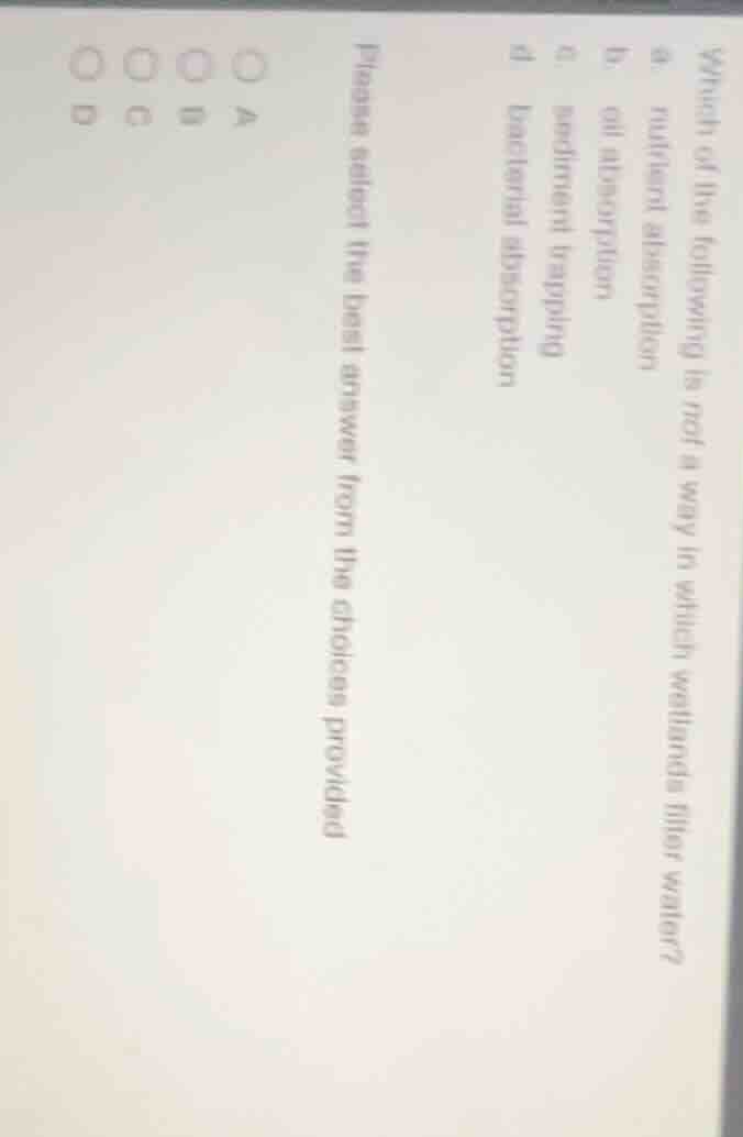 which of the following is not a way in which wetlands filter water? a n…
