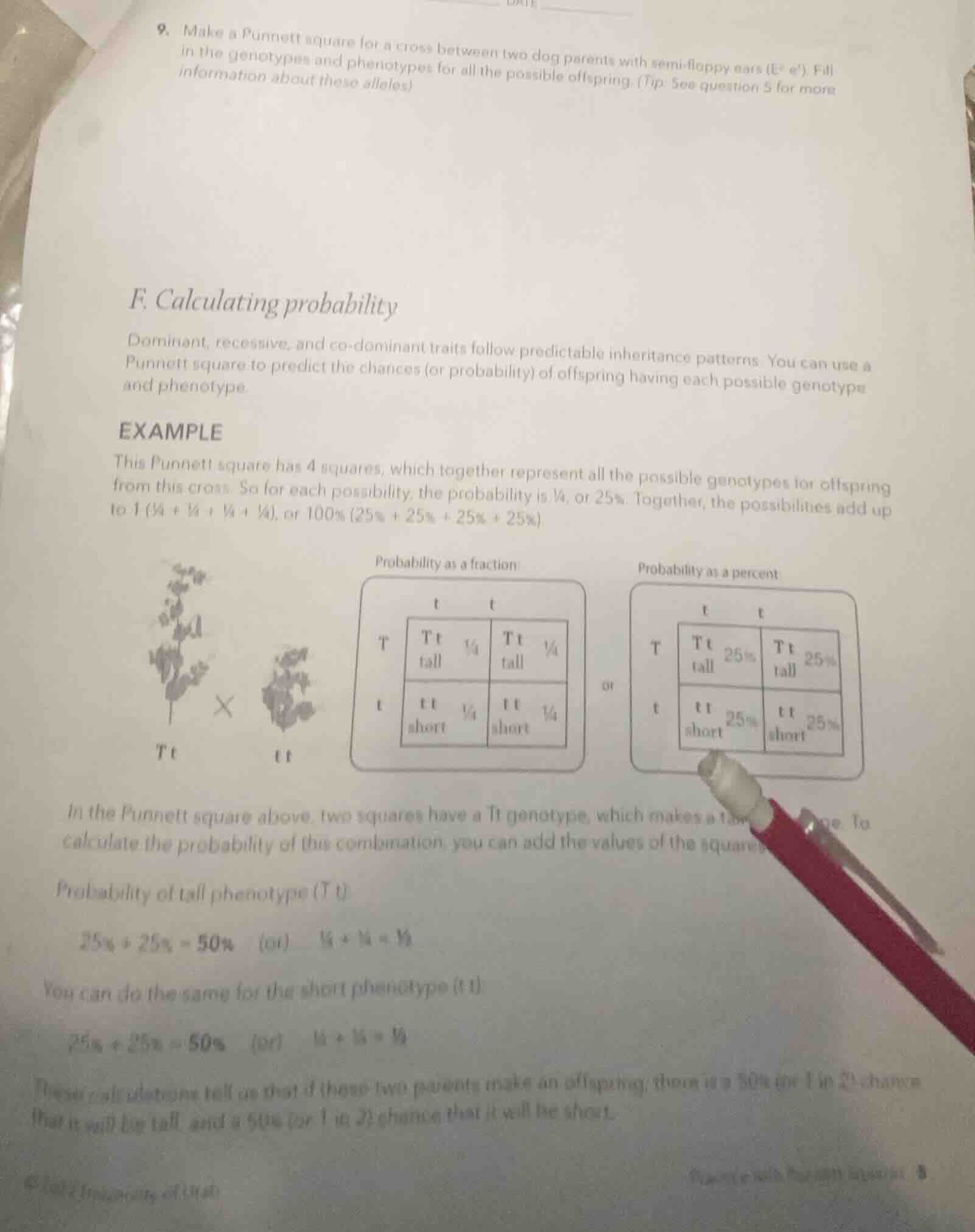 9. make a punnett square for a cross between two dog parents with semi …
