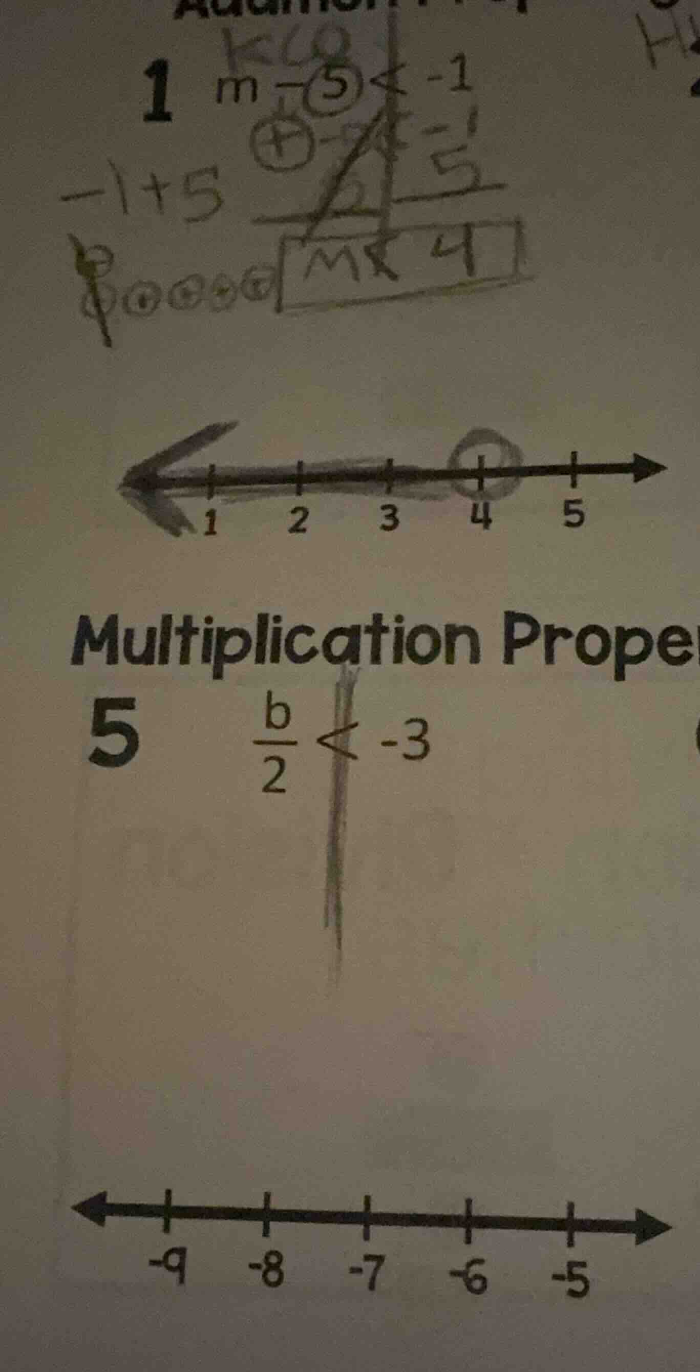 multiplication prope 5 \\(\\frac{b}{2} < -3\\)