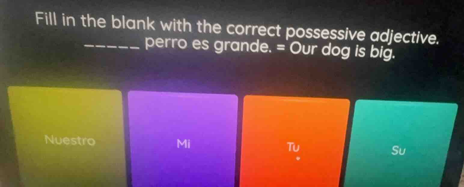 fill in the blank with the correct possessive adjective. _____ perro es…