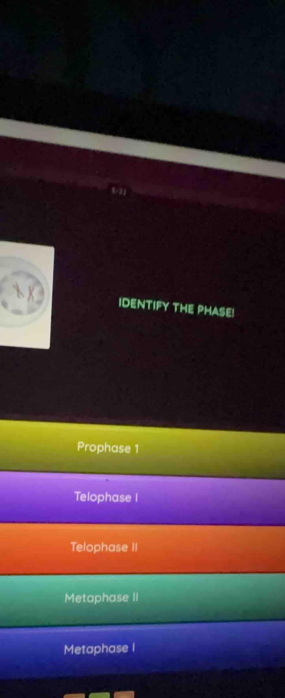 identify the phase! prophase 1 telophase i telophase ii metaphase ii me…