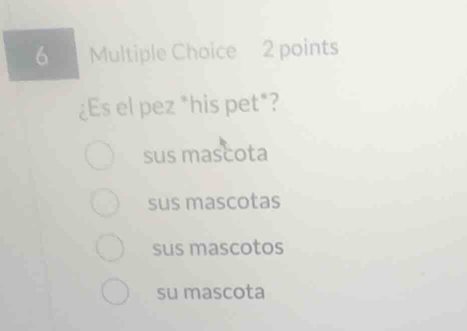 6 multiple choice 2 points ¿es el pez *his pet*? sus mascota sus mascot…