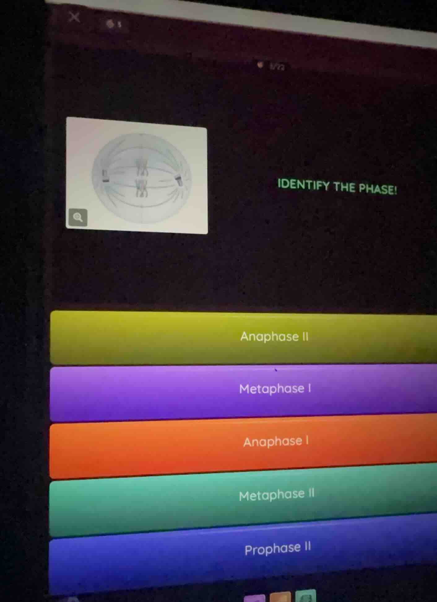 identify the phase! anaphase ii metaphase i anaphase i metaphase ii pro…