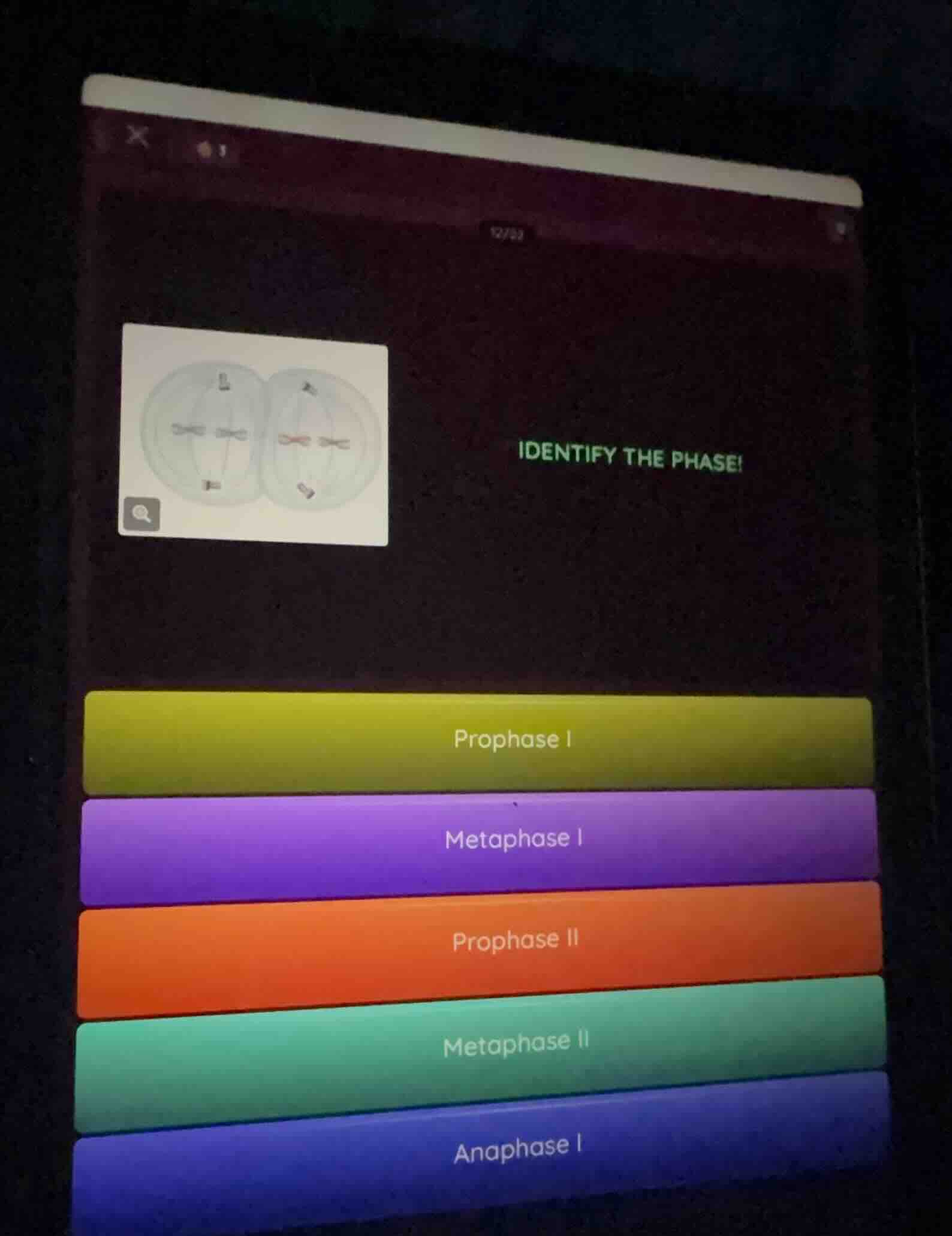 identify the phase! prophase i metaphase i prophase ii metaphase ii ana…