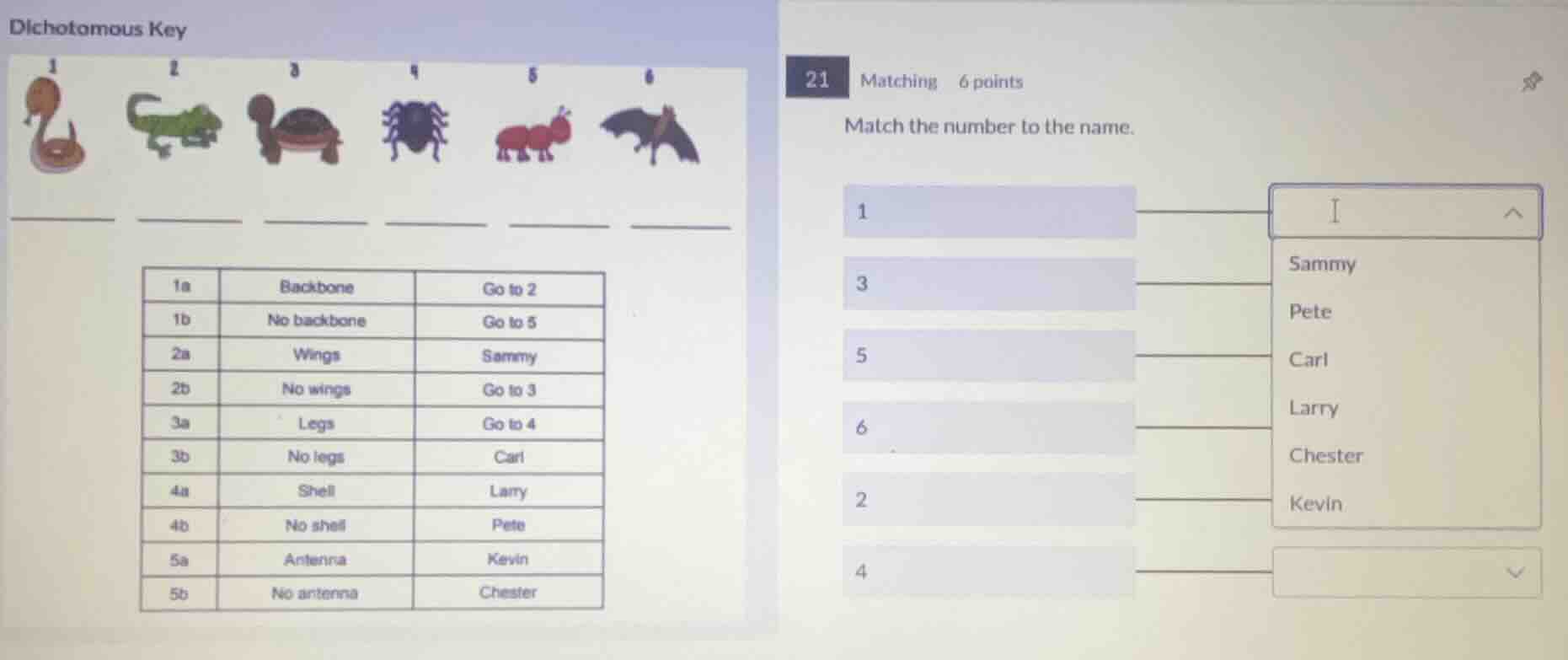 dichotomous key ------ ------ ------ ------ ------ ------ | 1a | backbo…