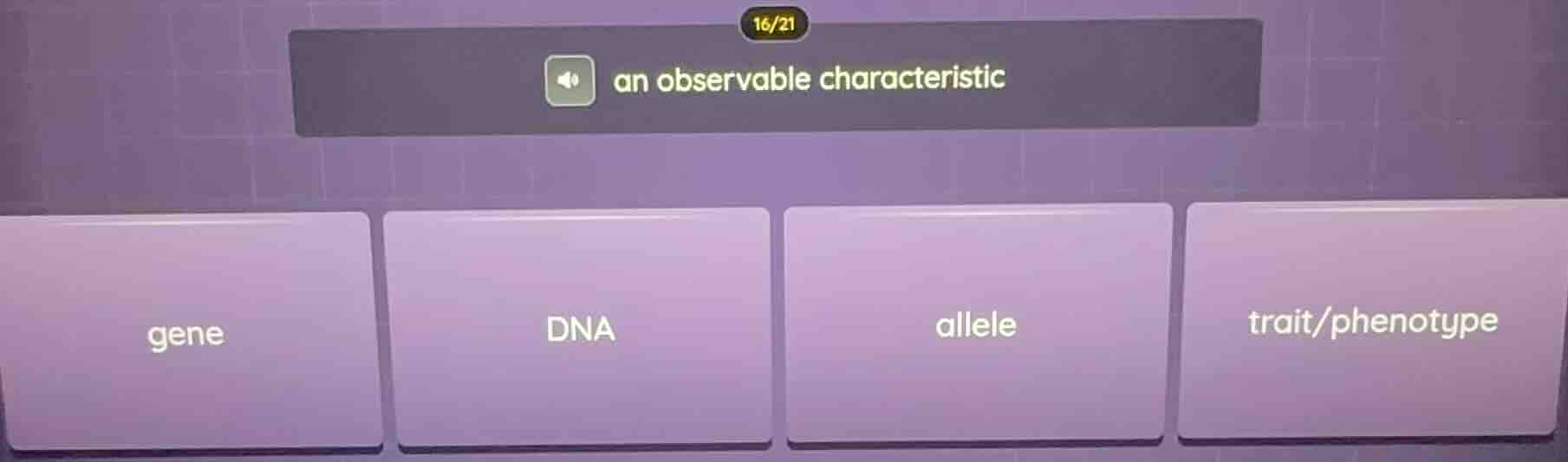 an observable characteristic; gene; dna; allele; trait/phenotype