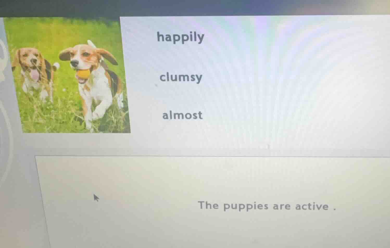 happily clumsy almost the puppies are active.