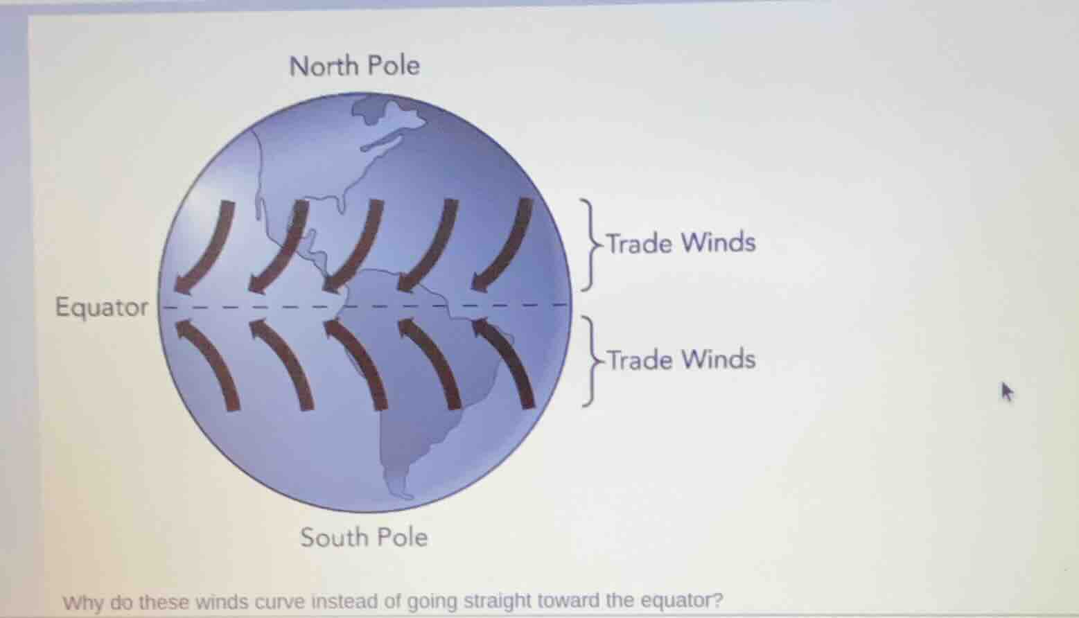 north pole equator south pole trade winds trade winds why do these wind…