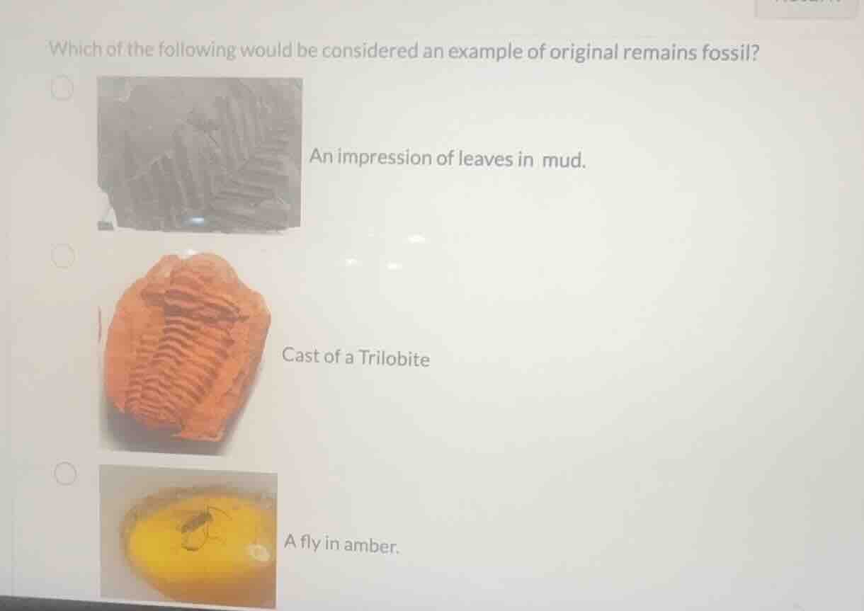 which of the following would be considered an example of original remai…