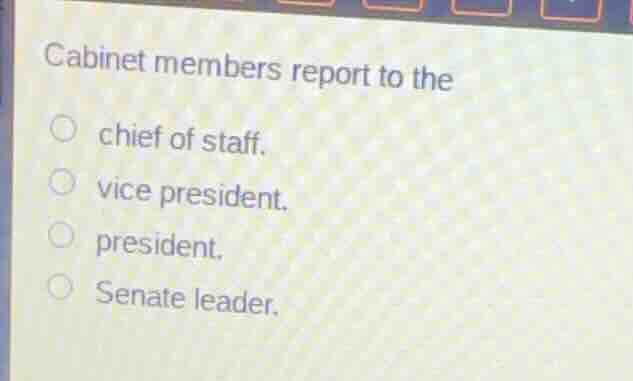 cabinet members report to the chief of staff. vice president. president…