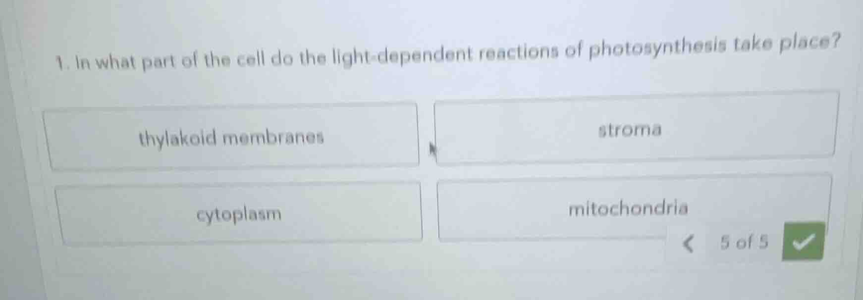 1. in what part of the cell do the light - dependent reactions of photo…