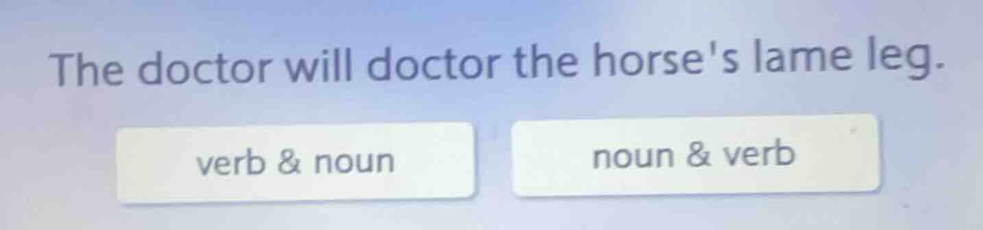 the doctor will doctor the horses lame leg. verb & noun noun & verb