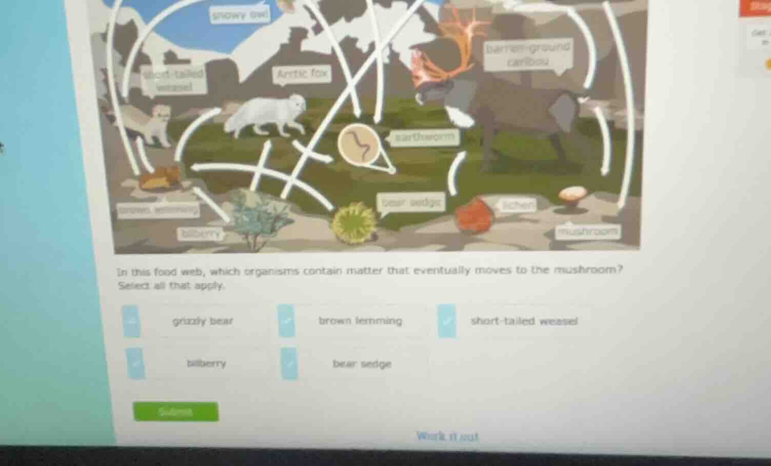 in this food web, which organisms contain matter that eventually moves …