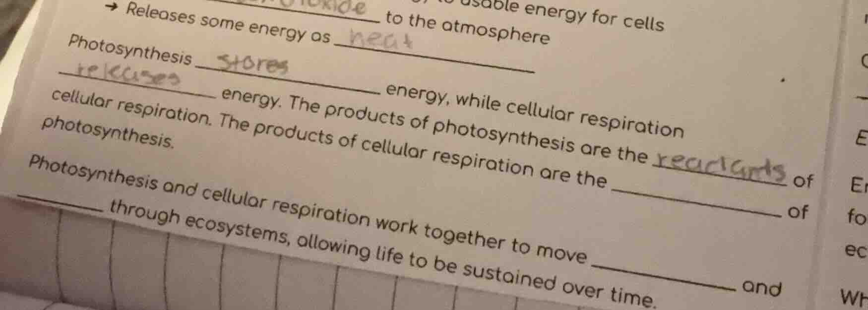 to usable energy for cells → releases some energy as heat to the atmosp…