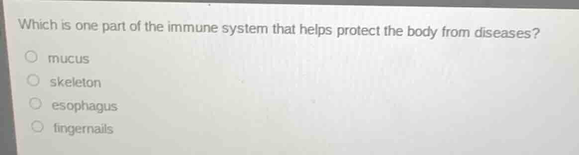 which is one part of the immune system that helps protect the body from…