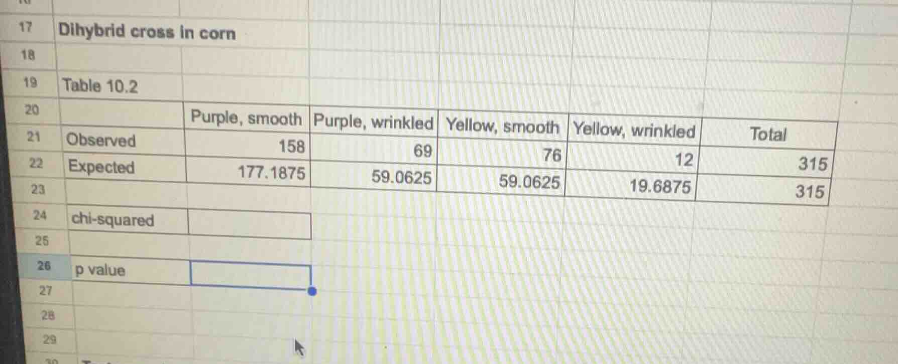 17 dihybrid cross in corn 18 19 table 10.2 20 21 observed purple, smoot…