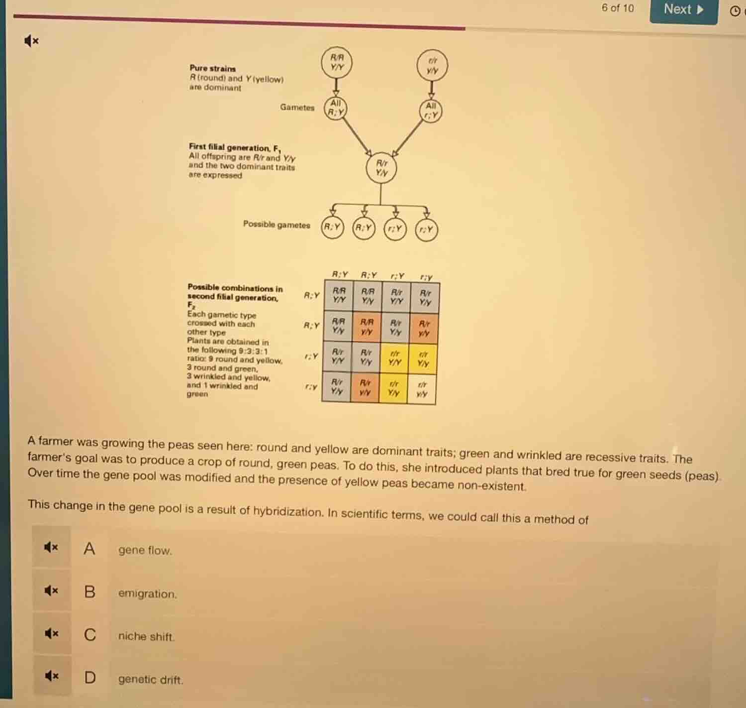 pure strains a (round) and y (yellow) are dominant gametes all r;y all …