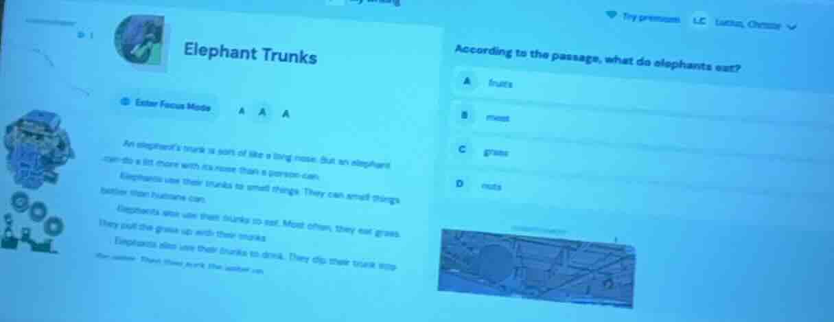 elephant trunks enter focus mode an elephant’s trunk is sort of like a …