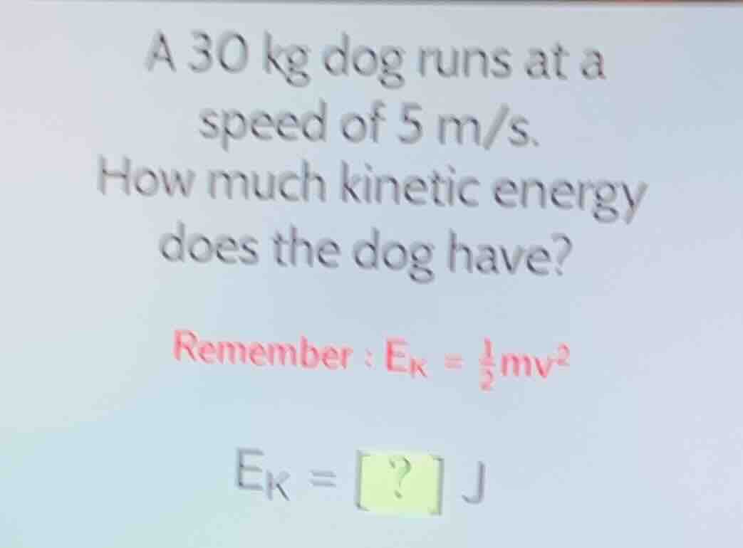 a 30 kg dog runs at a speed of 5 m/s. how much kinetic energy does the …