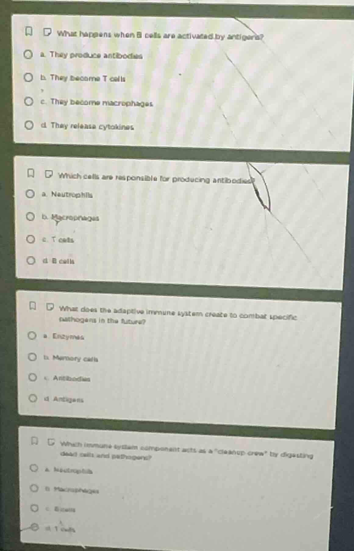what happens when b cells are activated by antigens? a. they produce an…