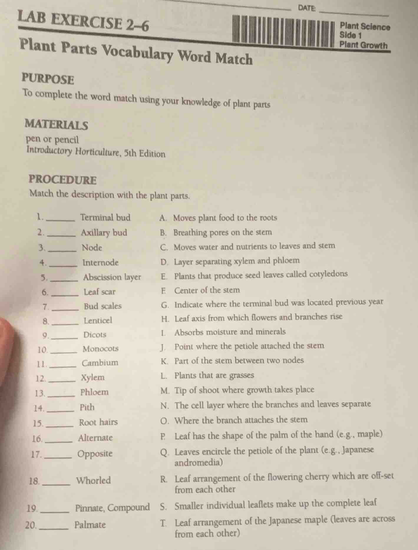 lab exercise 2–6 plant parts vocabulary word match purpose to complete …