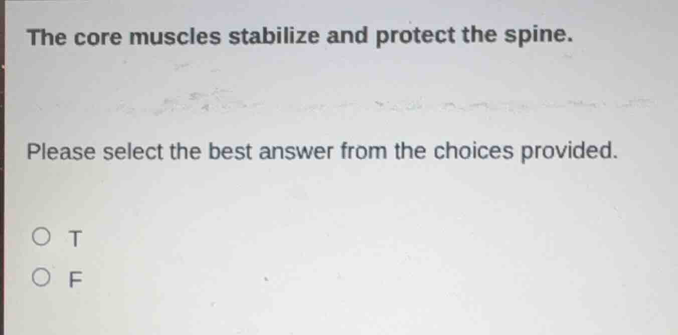 the core muscles stabilize and protect the spine. please select the bes…