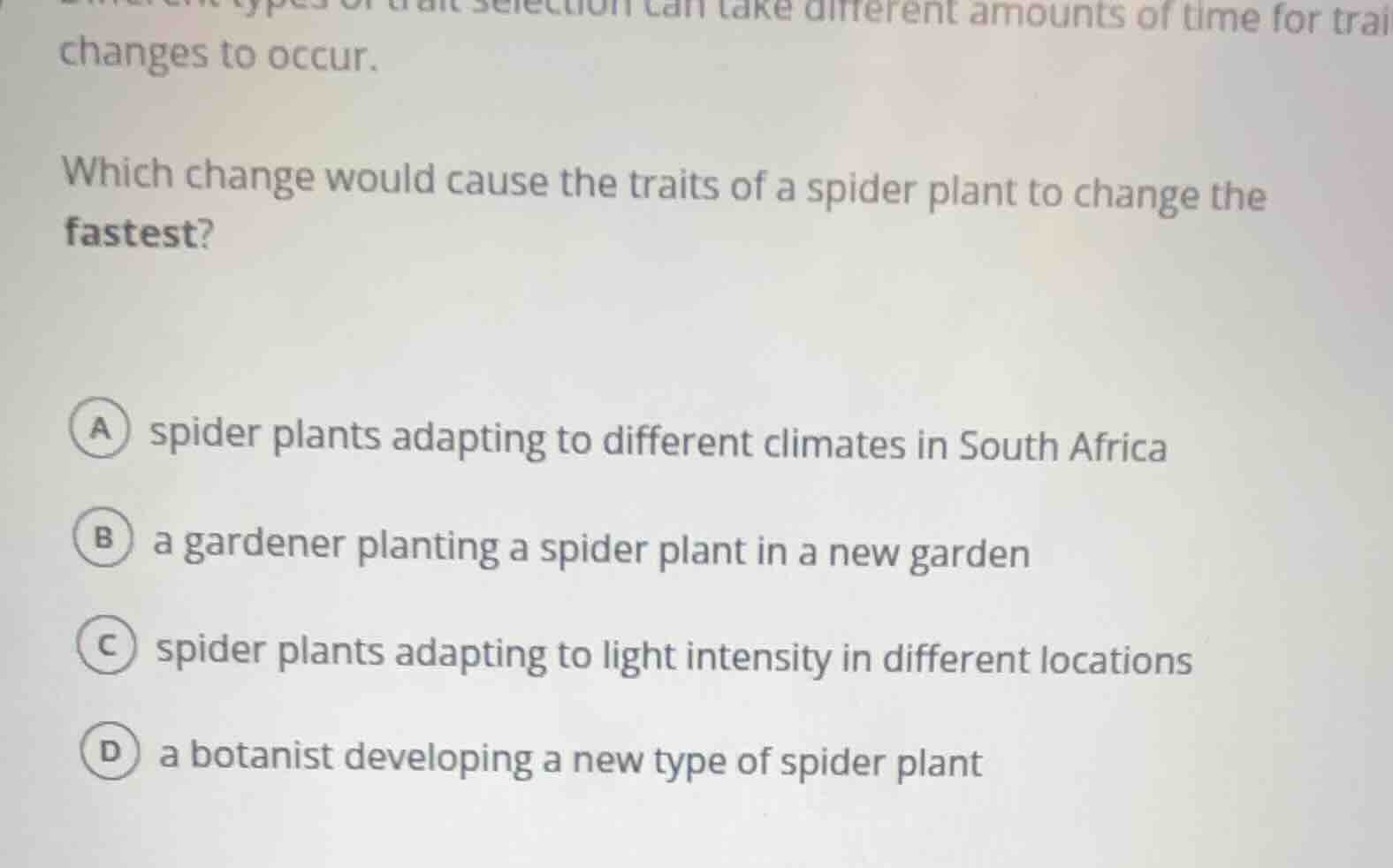 which change would cause the traits of a spider plant to change the fas…