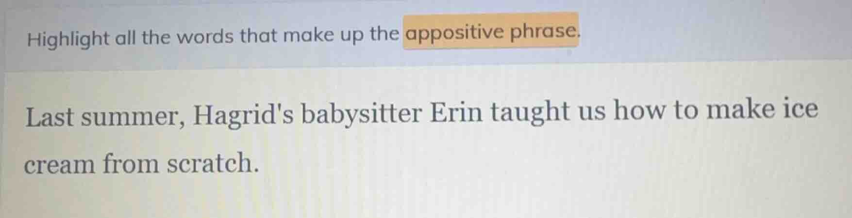 highlight all the words that make up the appositive phrase. last summer…
