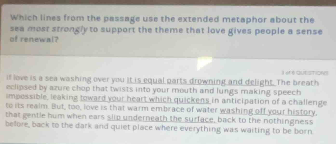 which lines from the passage use the extended metaphor about the sea mo…