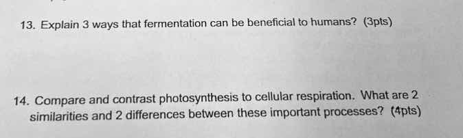 13. explain 3 ways that fermentation can be beneficial to humans? (3pts…