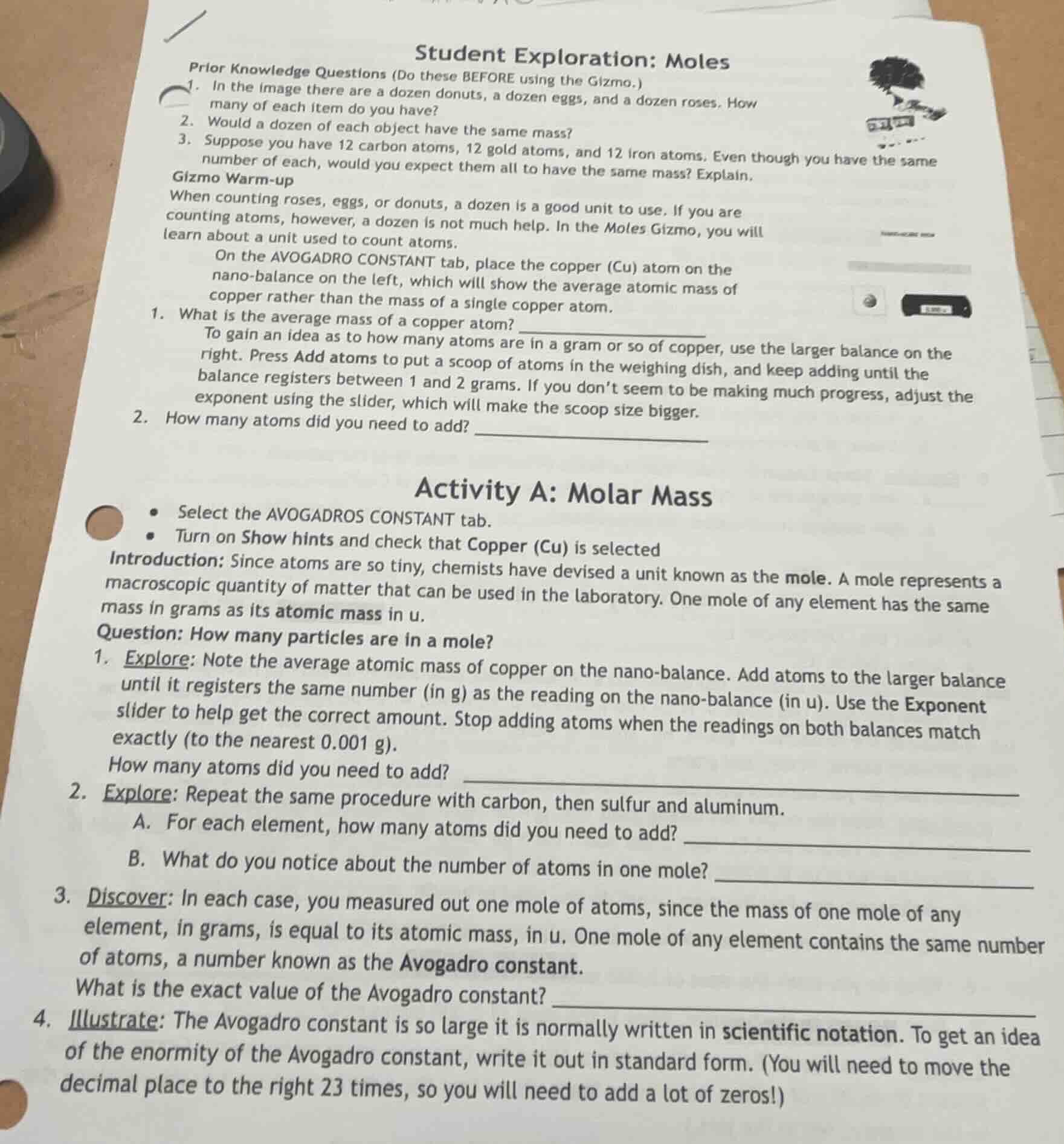 student exploration: moles prior knowledge questions (do these before u…