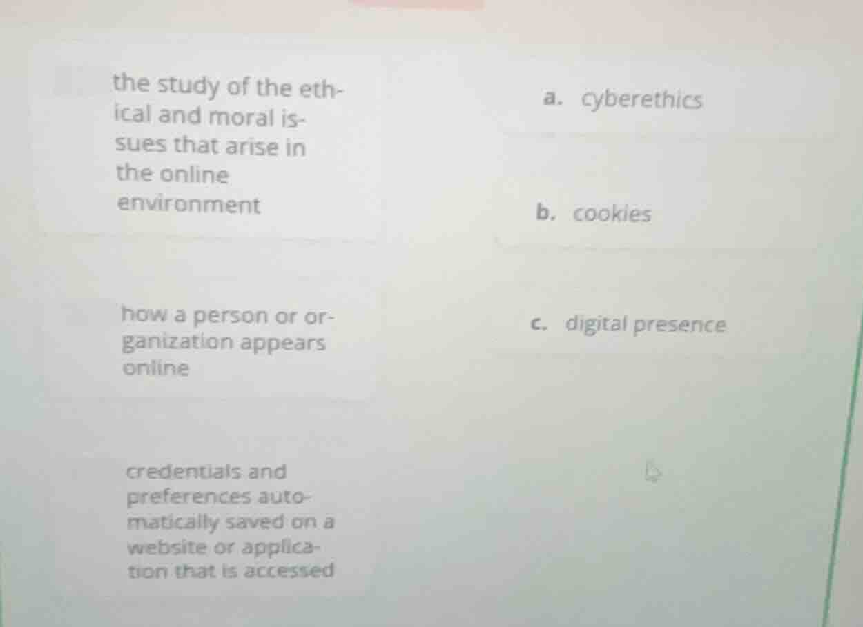 the study of the ethical and moral issues that arise in the online envi…