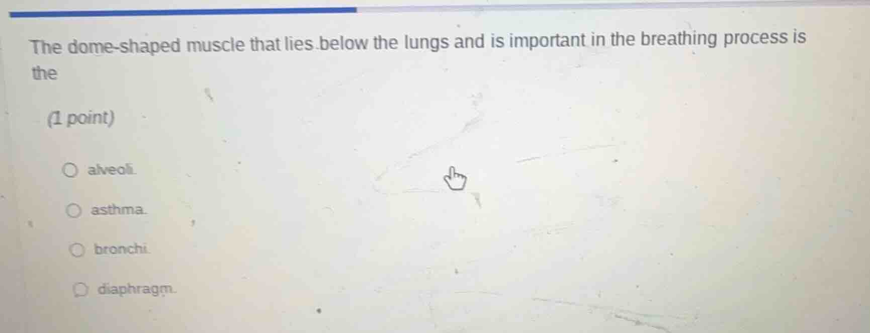 the dome - shaped muscle that lies below the lungs and is important in …