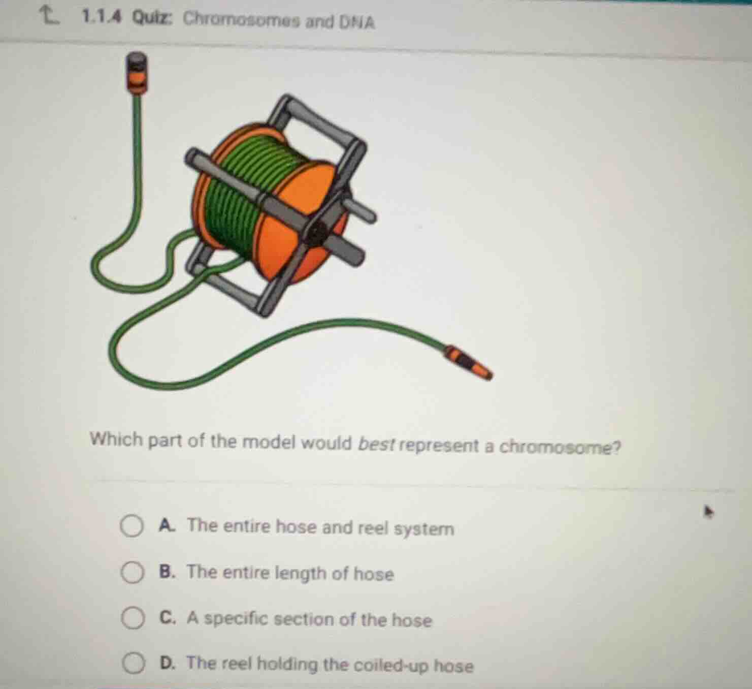 1.1.4 quiz: chromosomes and dna which part of the model would best repr…