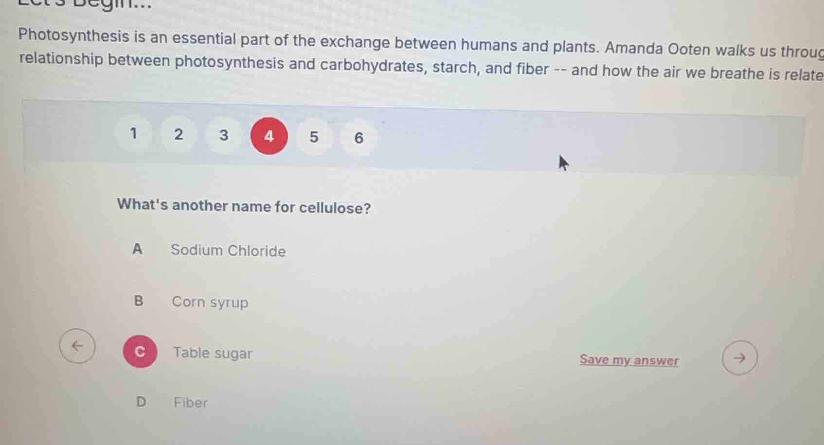 lets begin... photosynthesis is an essential part of the exchange betwe…