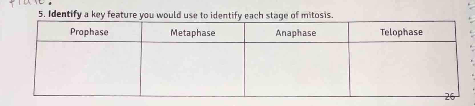 5. identify a key feature you would use to identify each stage of mitos…