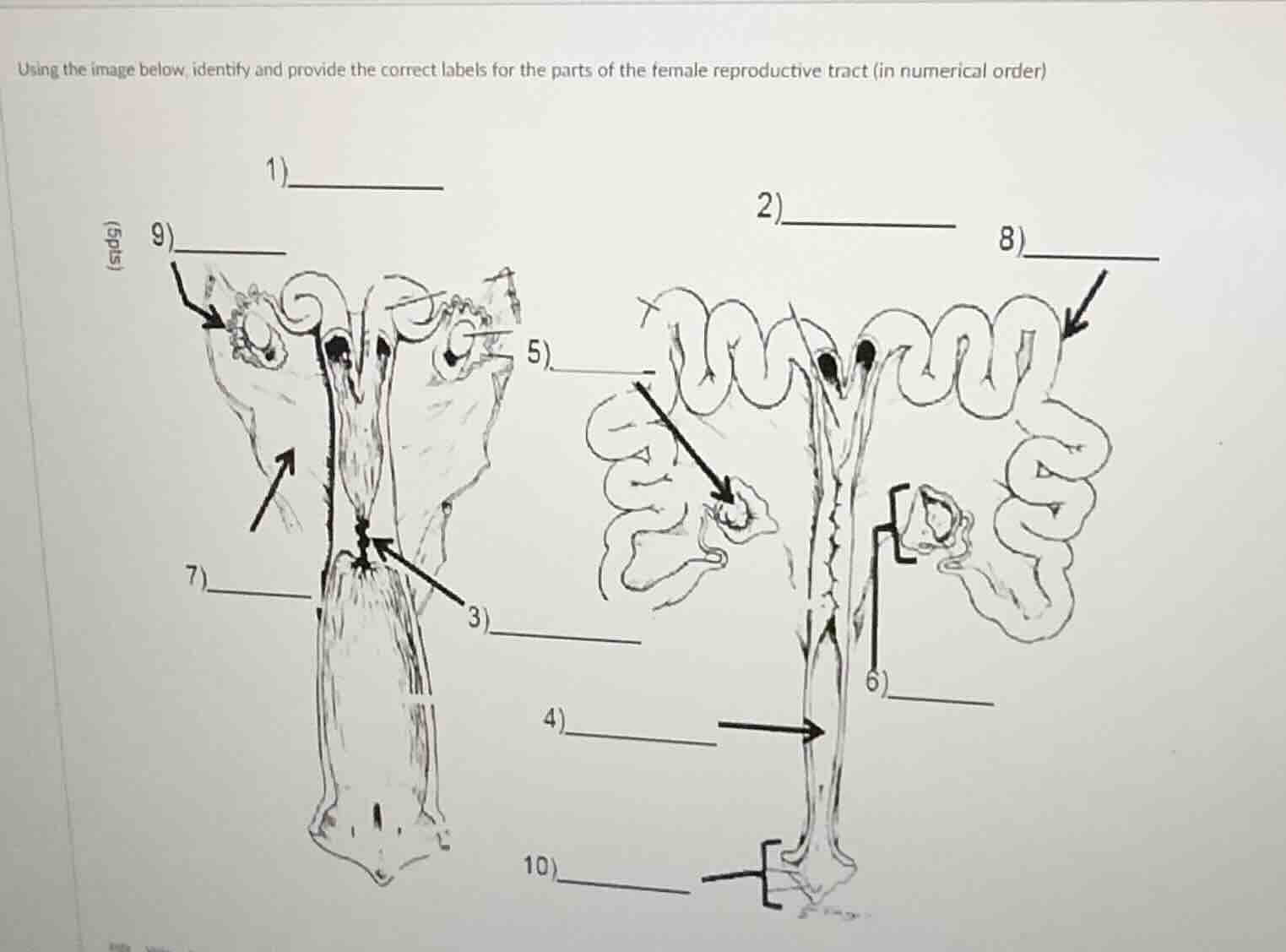 using the image below, identify and provide the correct labels for the …