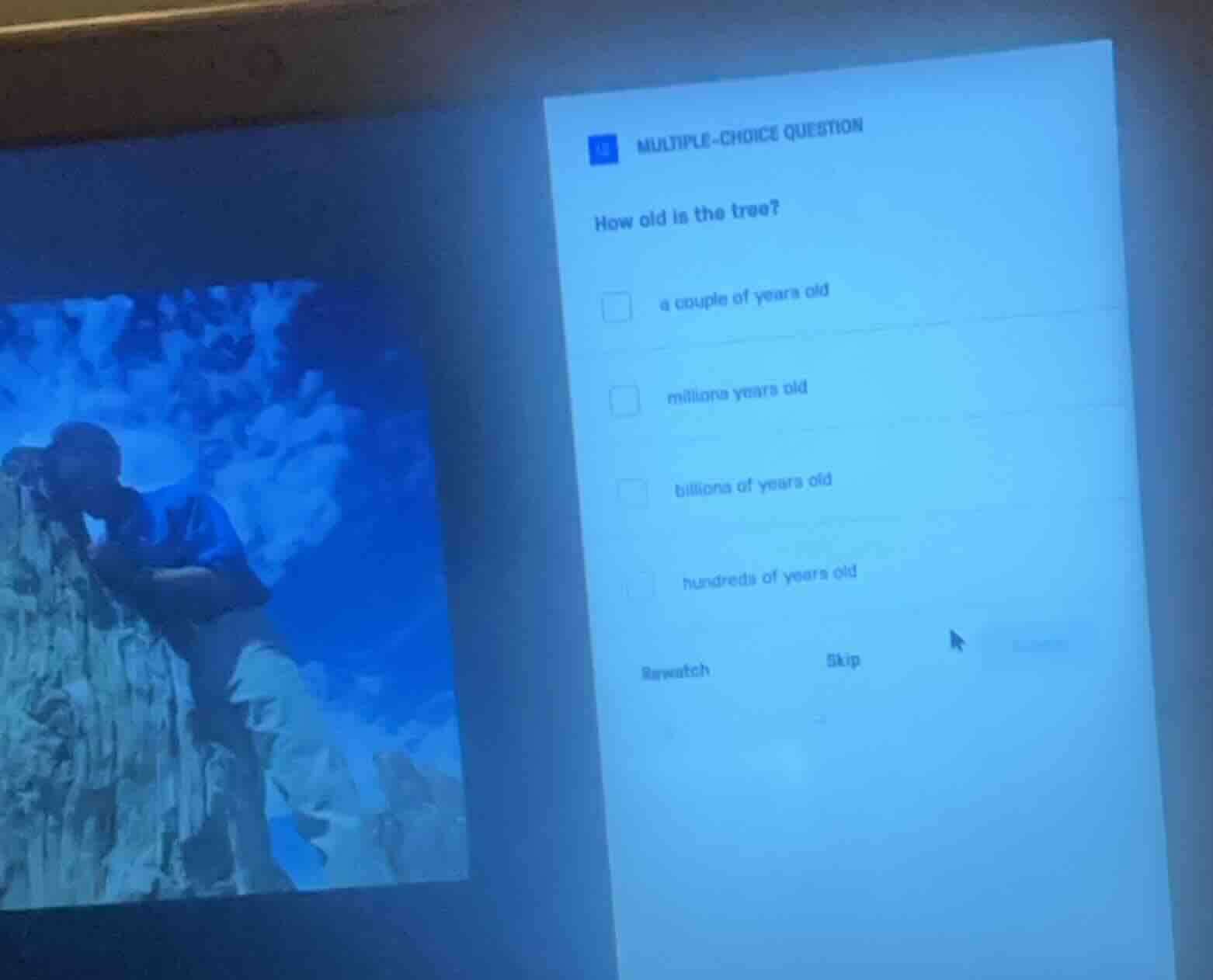 multiple-choice question how old is the tree? a couple of years old mil…