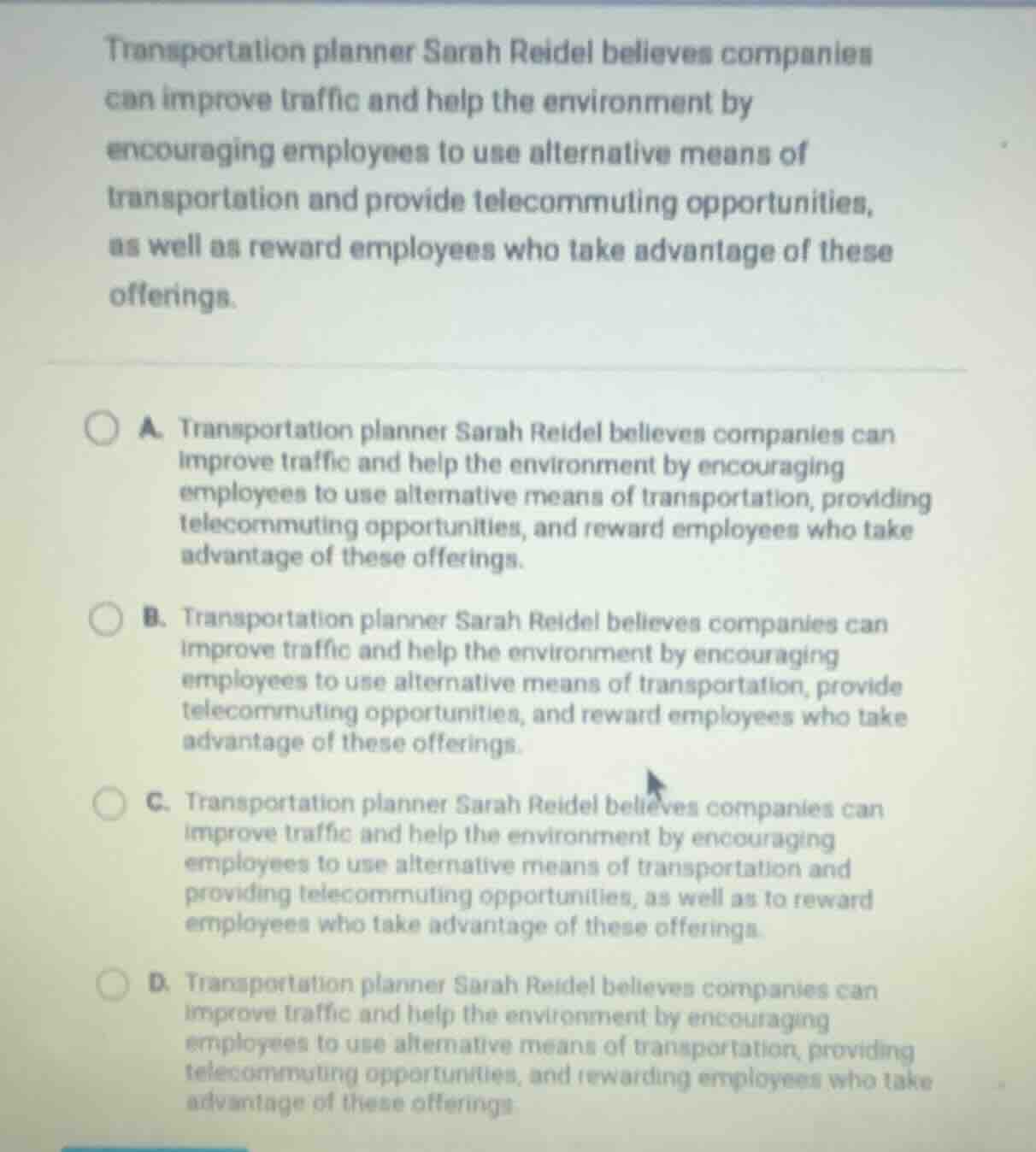 transportation planner sarah reidel believes companies can improve traf…