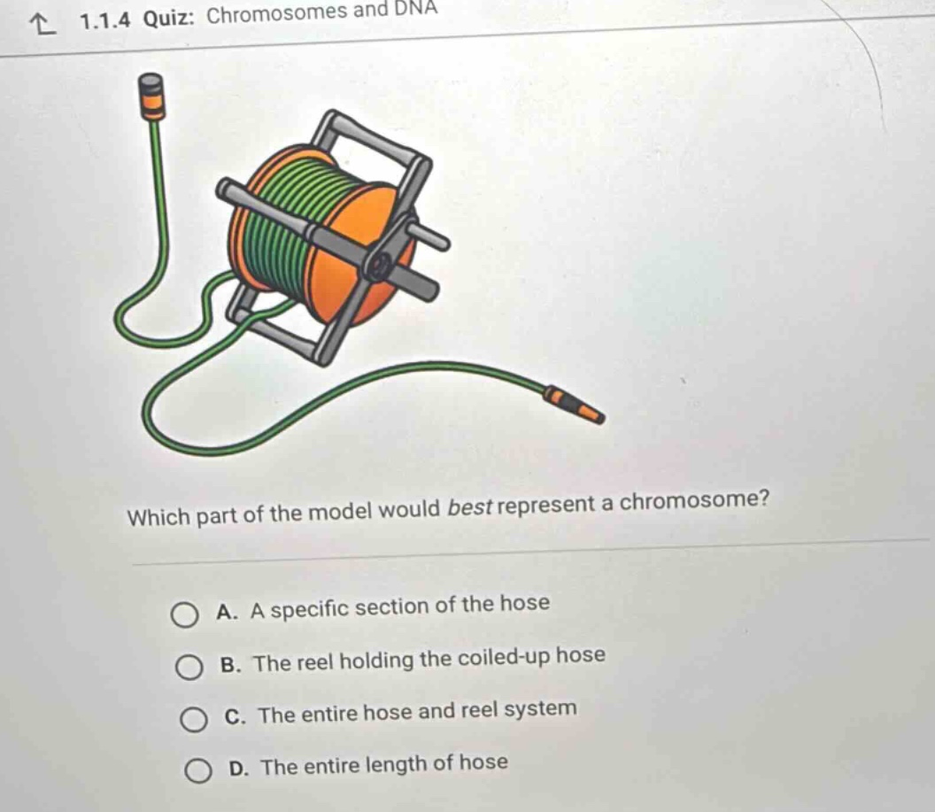 1.1.4 quiz: chromosomes and dna which part of the model would best repr…