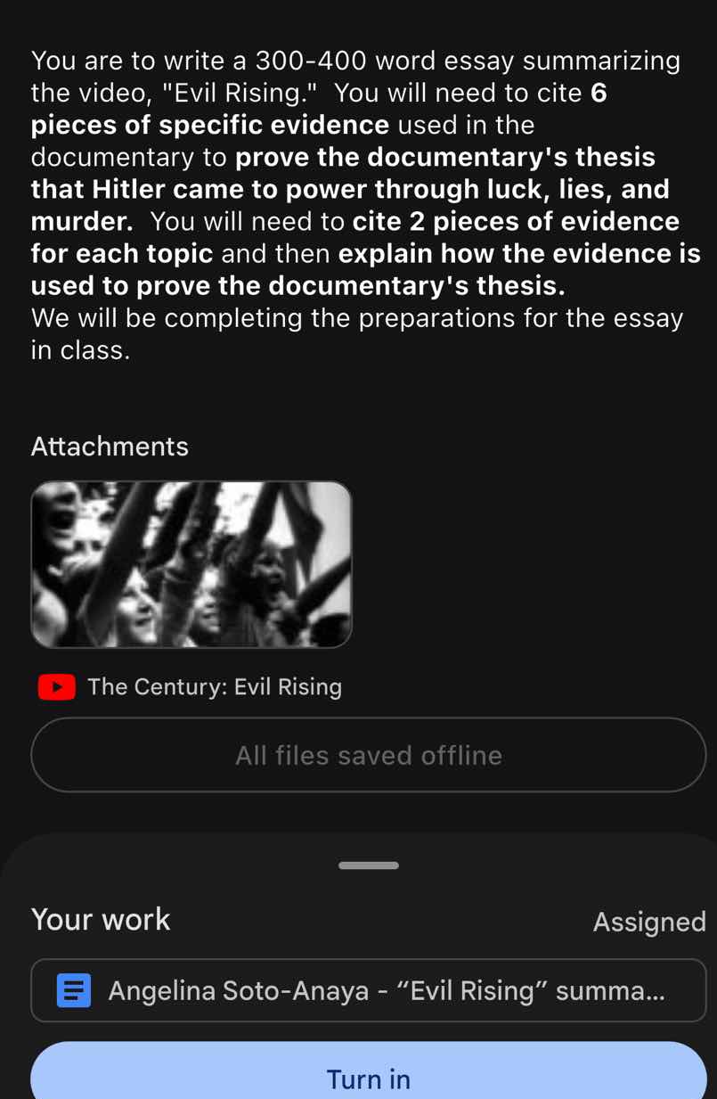 you are to write a 300-400 word essay summarizing the video, \evil risi…